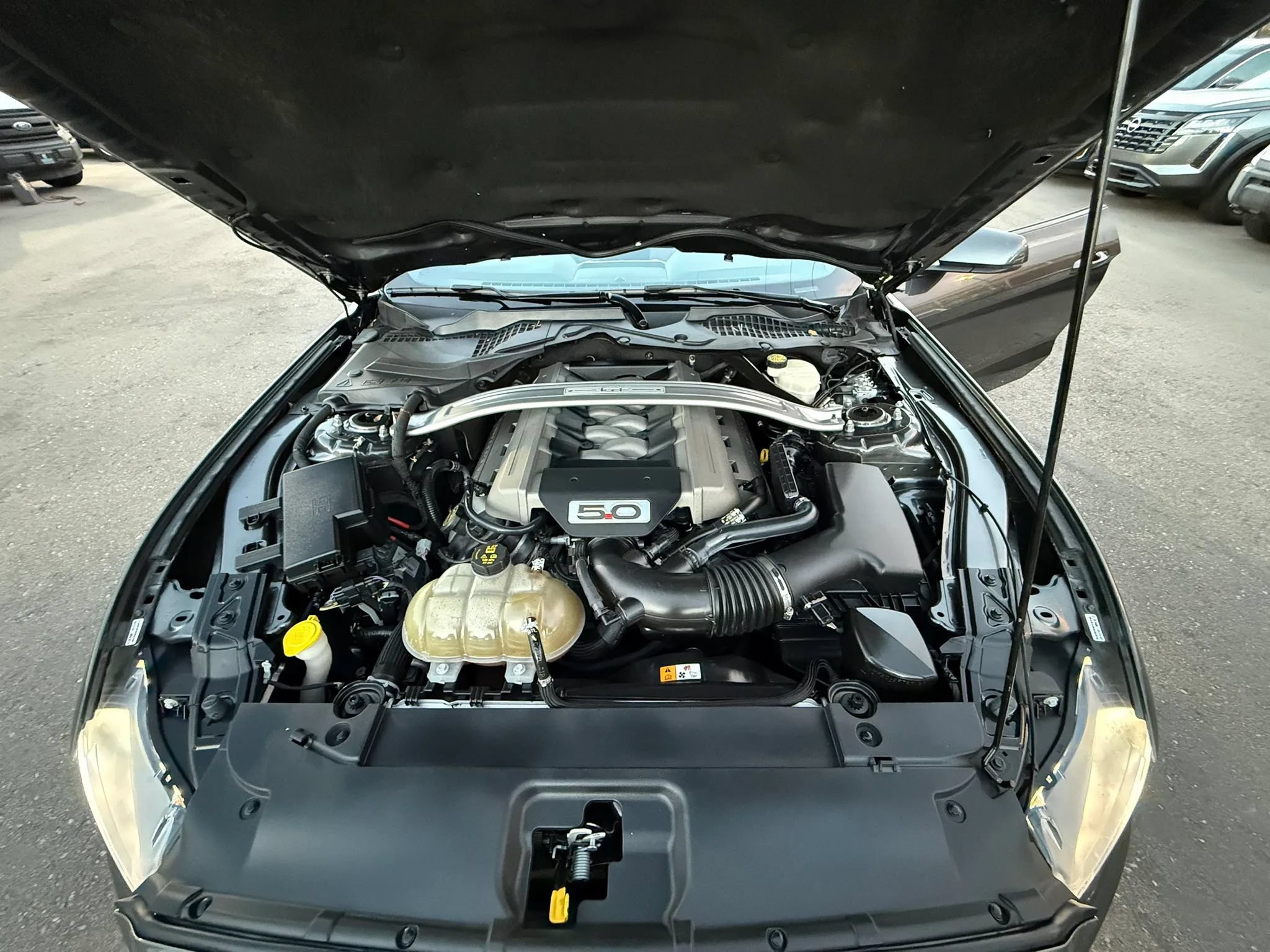 Used 2016 Ford Mustang GT Premium w/ Equipment Group 401A RWD image 28