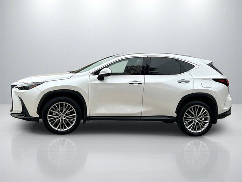Used 2024 Lexus NX 300h AWD w/ Vision Package image 8