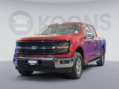 Used 2024 Ford F150 XLT w/ Equipment Group 302A MID