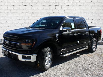 New 2025 Ford F150 XLT
