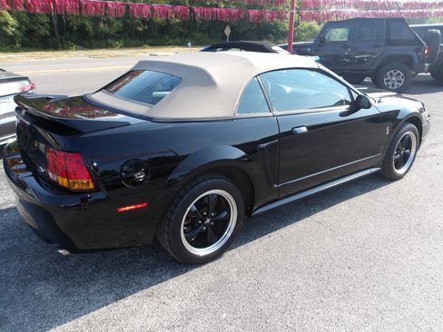 Used 1999 Ford Mustang Cobra image 5