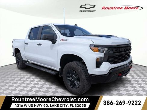 Used 2024 Chevrolet Silverado 1500 Custom Trail Boss AWD/4WD image 1