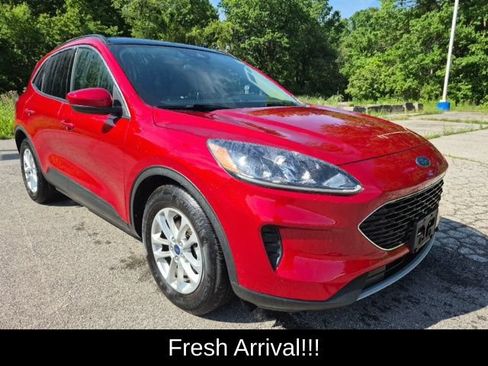 Used 2020 Ford Escape SE FWD image 6