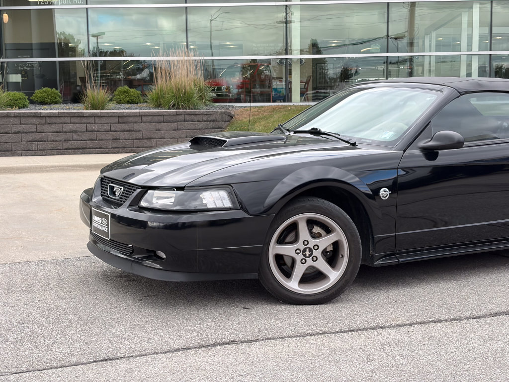 Used 2004 Ford Mustang GT RWD image 2