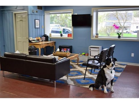 Used 2019 Ford Escape SE image 37