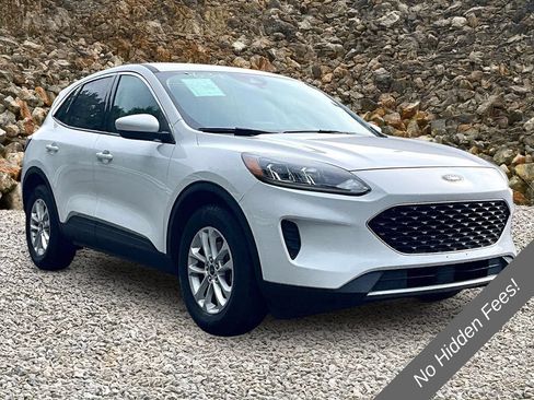 Used 2020 Ford Escape SE AWD/4WD image 10