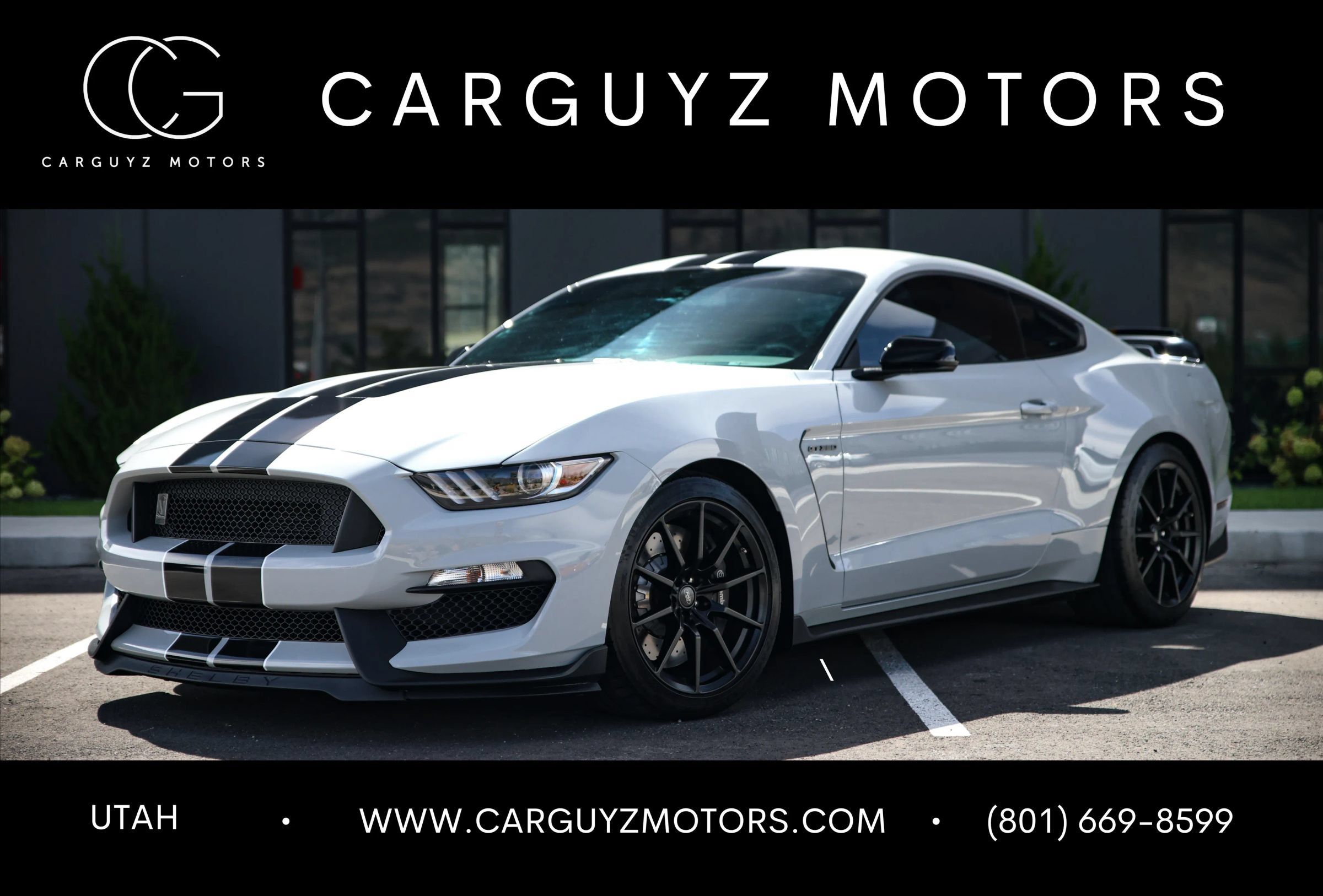 Used 2016 Ford Mustang Shelby GT350 w/ Track Package RWD image 1