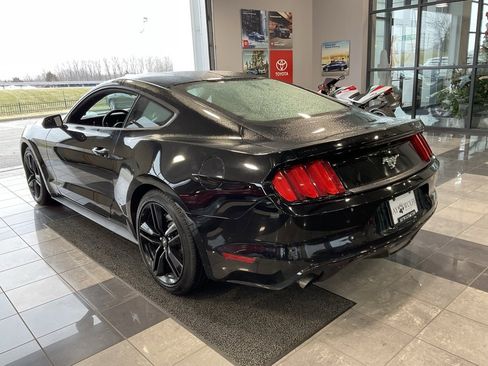 Used 2015 Ford Mustang Coupe w/ Ecoboost Performance Package image 5