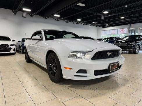 Used 2014 Ford Mustang Premium RWD image 15