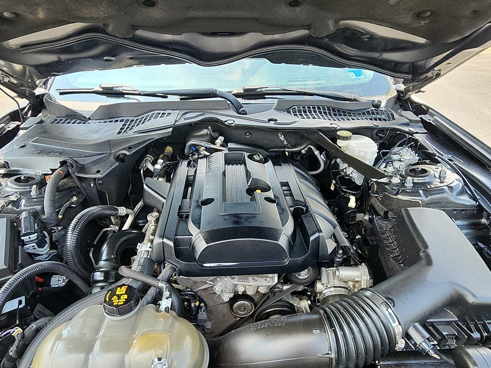 Used 2019 Ford Mustang Premium w/ Equipment Group 201A RWD image 11