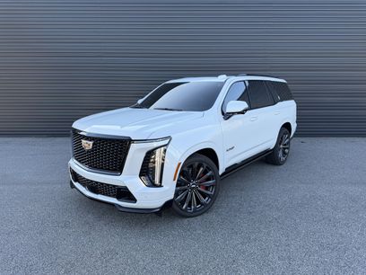 Used 2025 Cadillac Escalade V