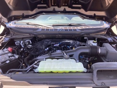 New 2025 Ford F150 STX w/ Equipment Group 201A FX4 image 42