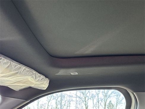 New 2026 Toyota Tundra Platinum image 14