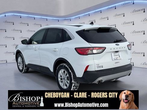 Used 2022 Ford Escape SE w/ Cold Weather Package image 12