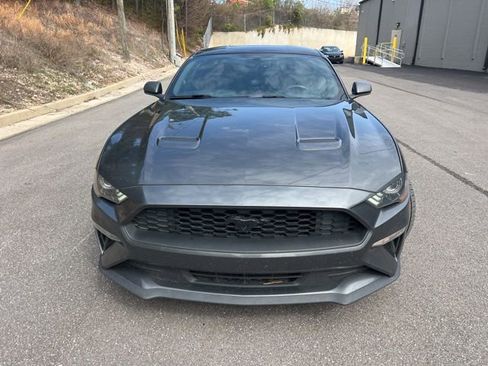 Used 2019 Ford Mustang Coupe w/ Equipment Group 101A image 2