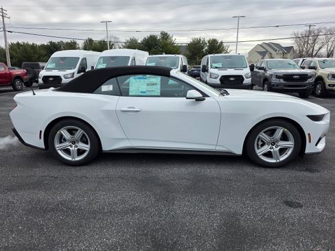 New 2026 Ford Mustang Premium w/ Anti-Theft Package image 13