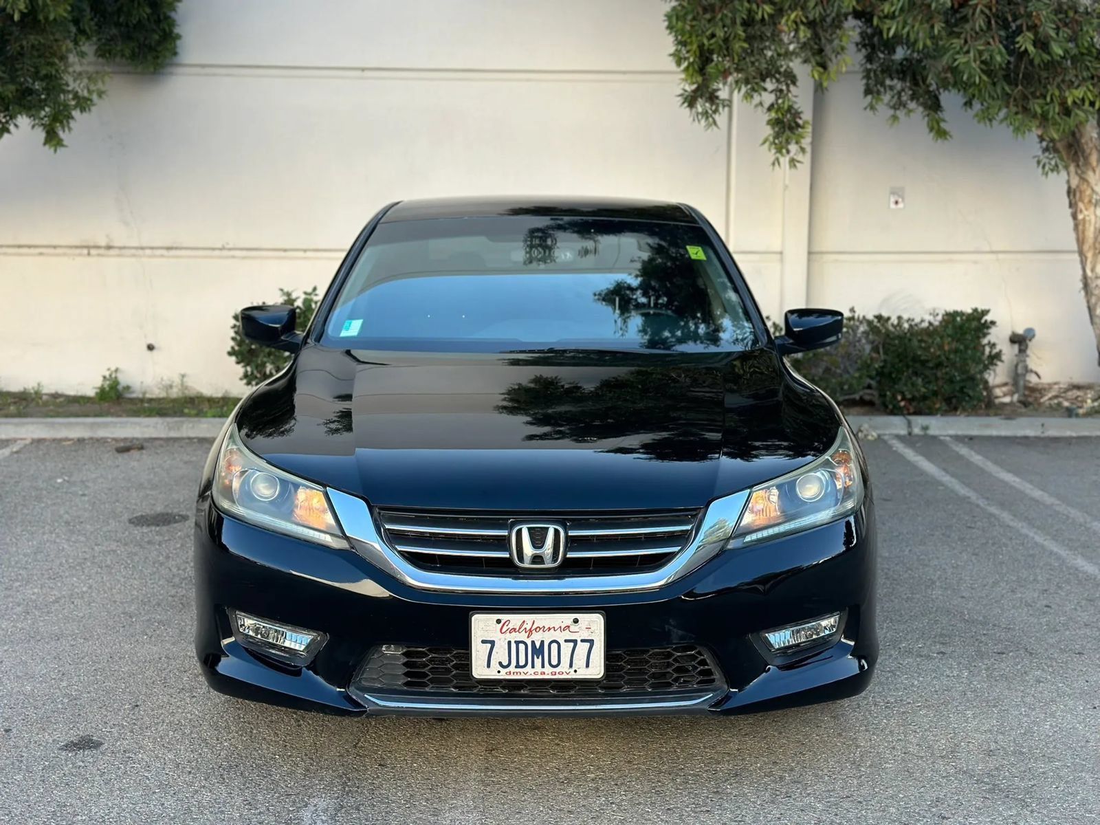 Used 2015 Honda Accord Sport image 3