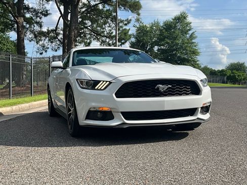 Used 2017 Ford Mustang Coupe w/ Wheel & Stripe Package RWD image 3
