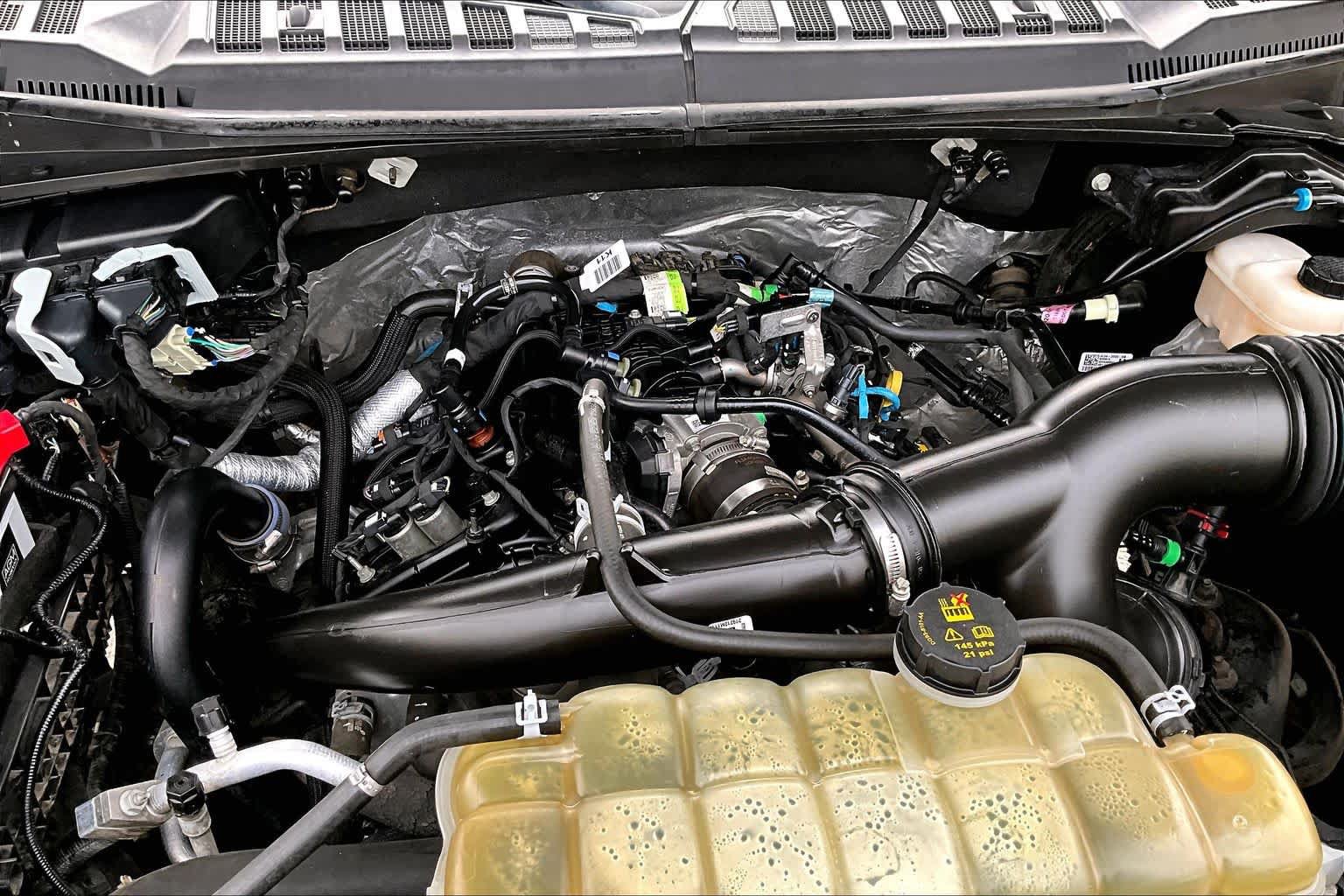 Used 2019 Ford F150 XLT w/ Equipment Group 302A Luxury AWD/4WD image 35