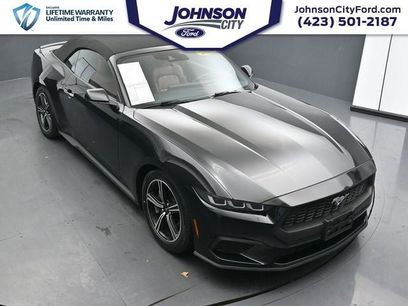 Used 2024 Ford Mustang Premium