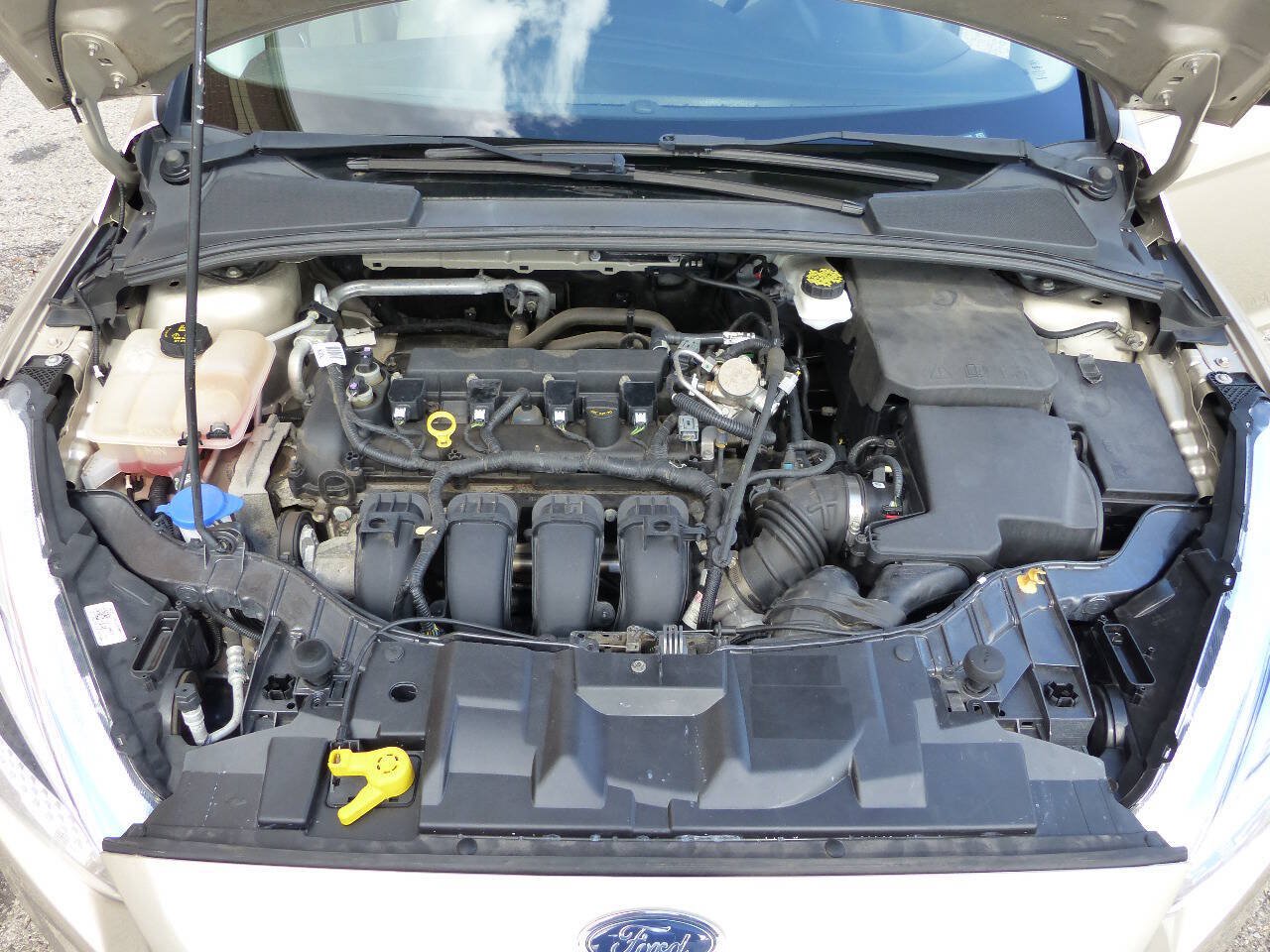Used 2018 Ford Focus SE w/ Cold Weather Package FWD image 16