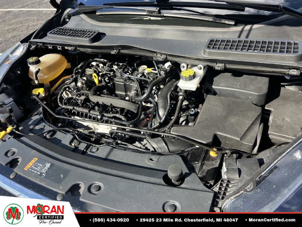 Used 2019 Ford Escape SE FWD image 10