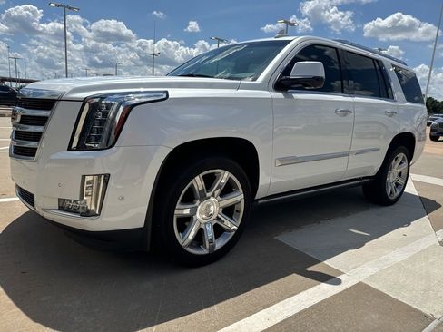 Used 2019 Cadillac Escalade Premium Luxury AWD/4WD image 1