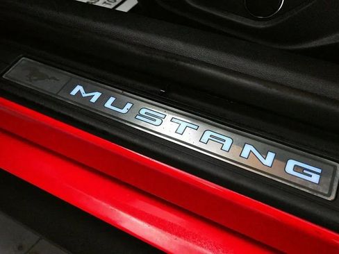 Used 2019 Ford Mustang GT Premium w/ Equipment Group 401A RWD image 15
