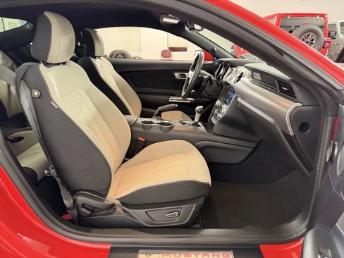 Used 2019 Ford Mustang GT w/ Equipment Group 301A RWD image 28