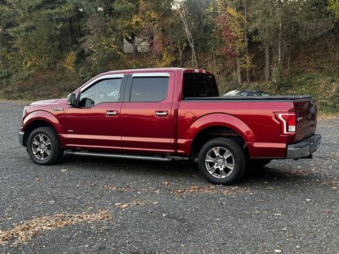 Used 2015 Ford F150 XLT w/ Equipment Group 302A Luxury image 5