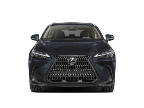 Used 2024 Lexus NX 350 AWD w/ Cold Area Package image 4