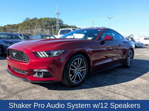 Used 2016 Ford Mustang Premium w/ Equipment Group 201A image 8