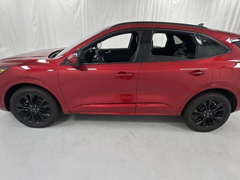 Used 2024 Ford Escape ST-Line Elite w/ Premium Technology Package image 6