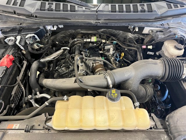 Used 2019 Ford F150 XLT w/ Equipment Group 302A Luxury AWD/4WD image 23