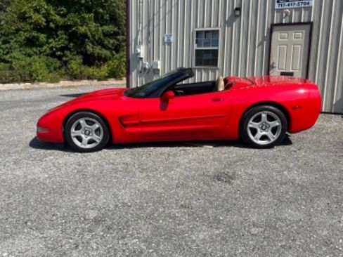 Used 1999 Chevrolet Corvette Convertible image 1