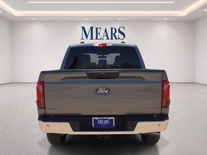 Used 2025 Ford F150 XLT w/ Equipment Group 301A Standard