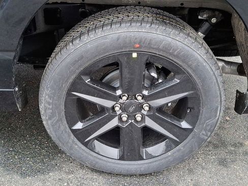 New 2025 Ford F150 STX w/ LOBO Package image 5