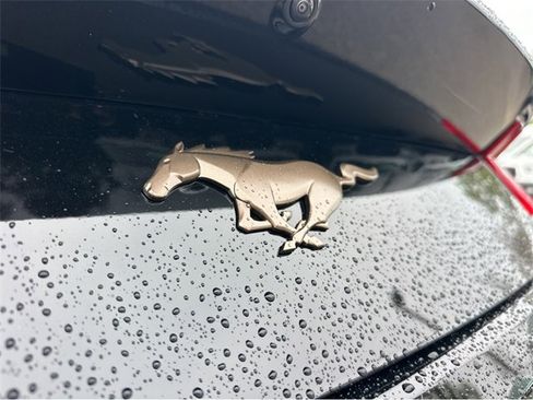 New 2026 Ford Mustang Coupe image 14