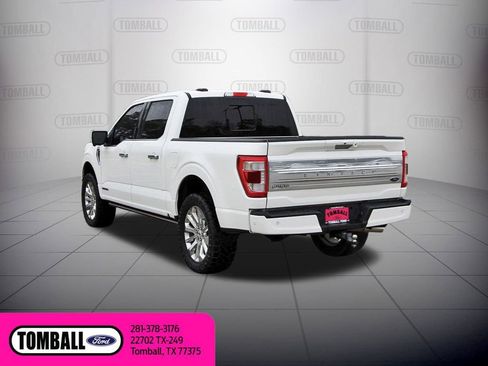 Used 2023 Ford F150 Limited image 5
