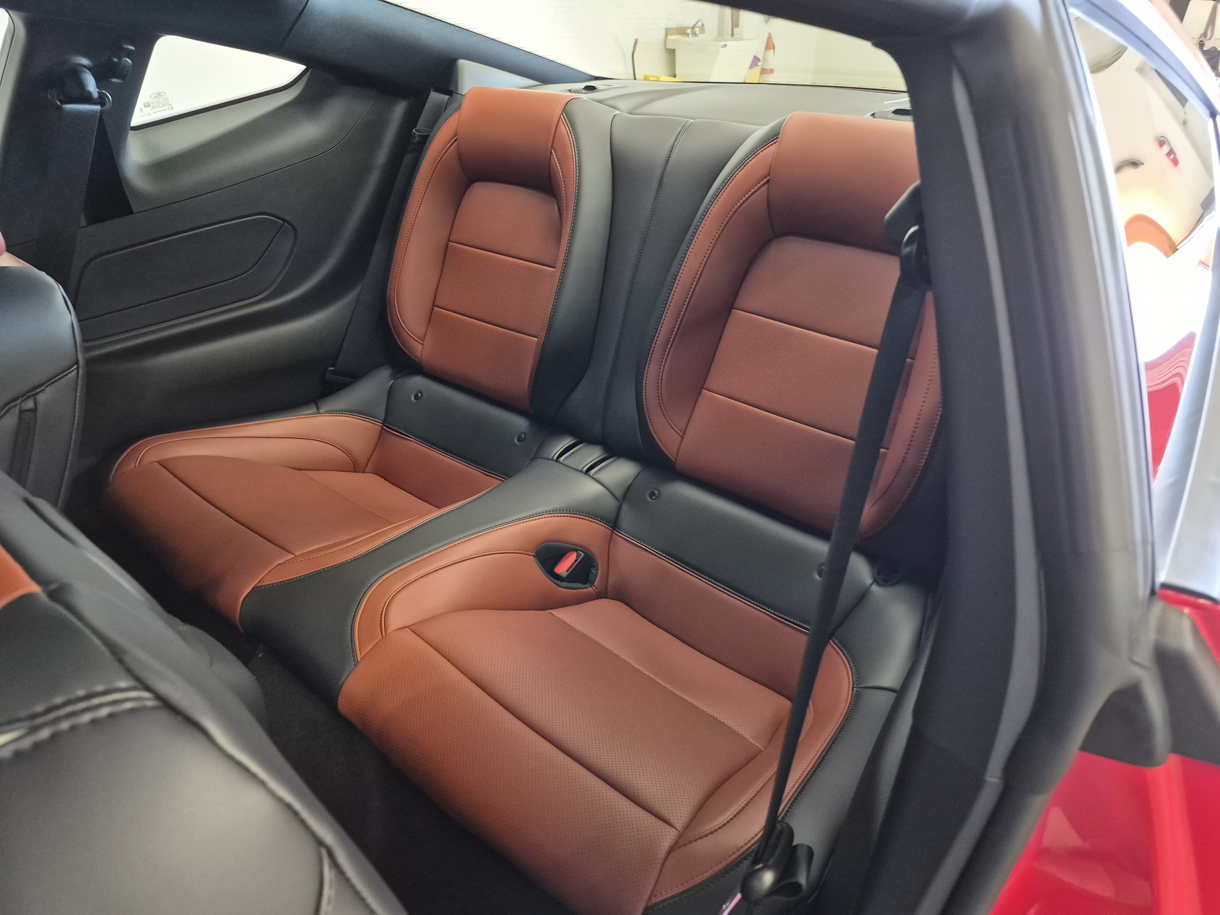 New 2026 Ford Mustang Premium w/ Mustang Nite Pony Package RWD image 14