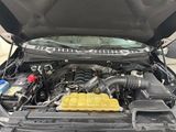 Certified 2019 Ford F150 XLT w/ Equipment Group 302A Luxury image 3