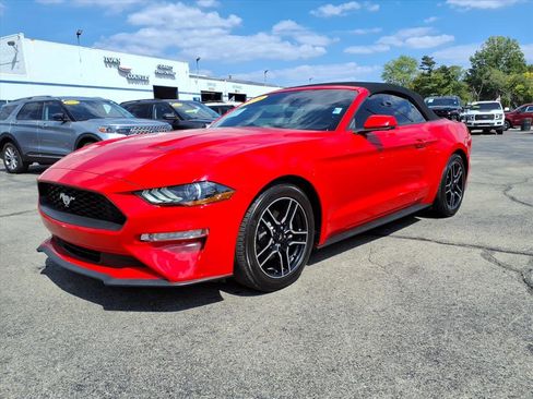 Used 2018 Ford Mustang Premium w/ Equipment Group 201A image 7