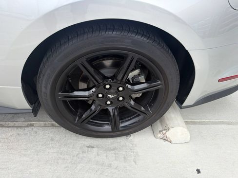 Used 2019 Ford Mustang GT Premium w/ Equipment Group 401A RWD image 8
