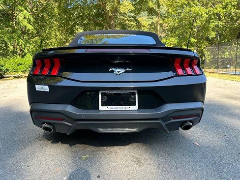 Used 2024 Ford Mustang Premium image 5