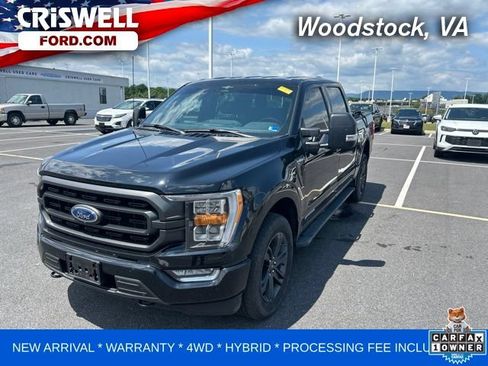 Used 2023 Ford F150 XLT w/ Equipment Group 302A High AWD/4WD image 1