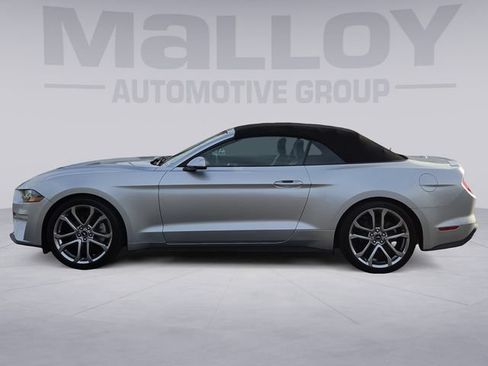 Used 2019 Ford Mustang Premium RWD image 2
