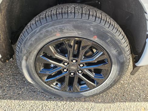 New 2025 Ford F150 XLT w/ Equipment Group 303A High image 20