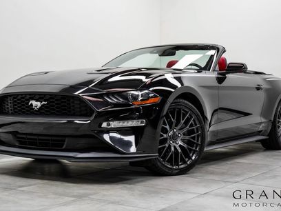Used 2019 Ford Mustang Premium w/ Equipment Group 201A