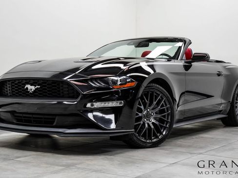 Used 2019 Ford Mustang Premium w/ Equipment Group 201A RWD image 1