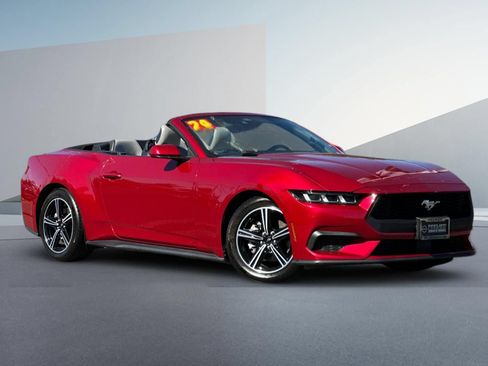 Used 2024 Ford Mustang Premium RWD image 2